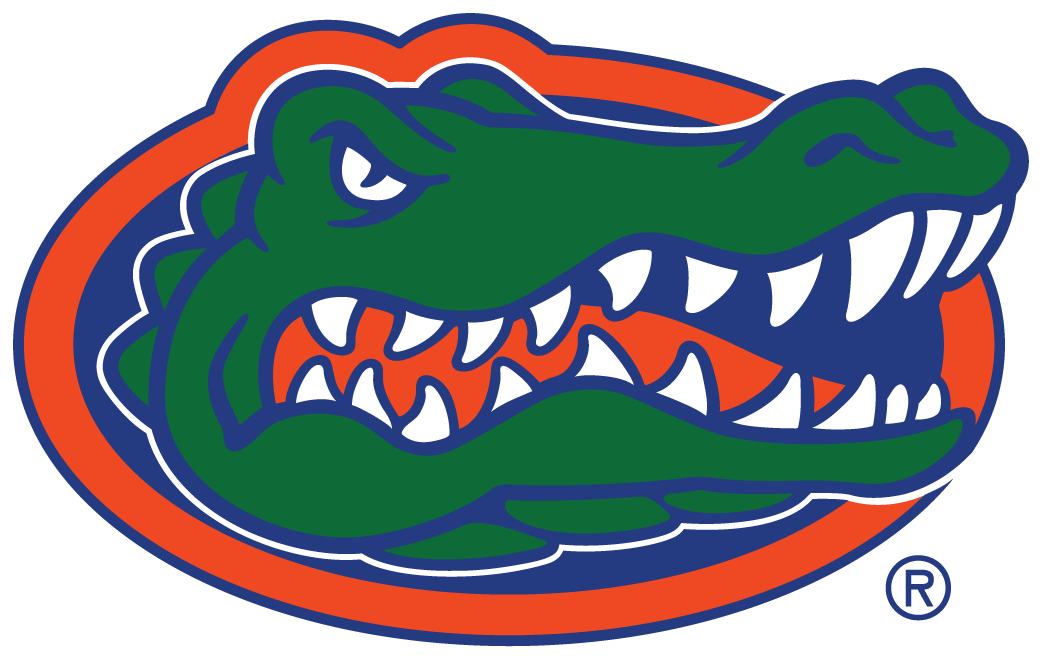 Florida Gators 2013-Pres Primary Logo diy iron on heat transfer
